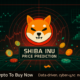 Shiba Inu