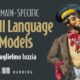 Small Domain-Specific Model