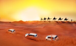 Arabian Desert