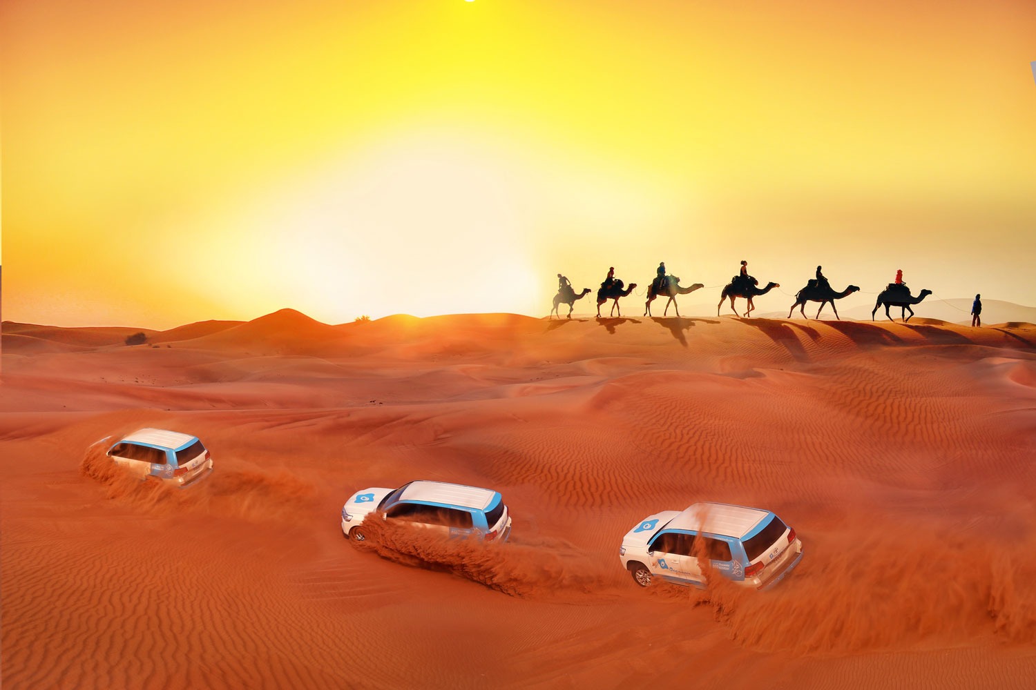 Arabian Desert