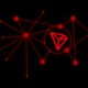 crypto ecosystems