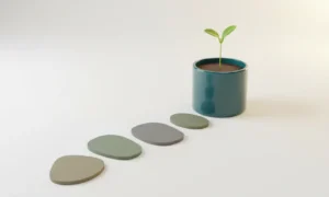 Healthy seedling growing along a tailored pathway of unique stepping stones, symbolizing personalized professional development.