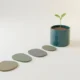 Healthy seedling growing along a tailored pathway of unique stepping stones, symbolizing personalized professional development.