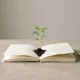 Green seedling growing from an open blank notebook, symbolizing unconventional learning that supports small-business growth.