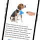 Chop Dawg app development costs drop with AI-accelerated engineering and 18 years of experience