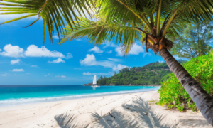 Holiday yacht charter in the British Virgin Islands with My BVI Charter for Christmas