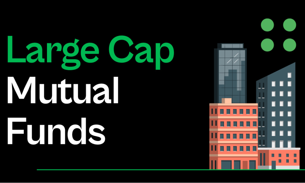 Large-cap funds: What investors should know