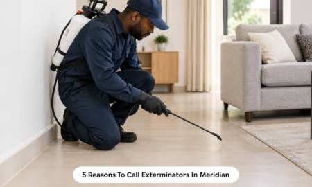 5 Reasons To Call Exterminators In Meridian