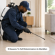 5 Reasons To Call Exterminators In Meridian