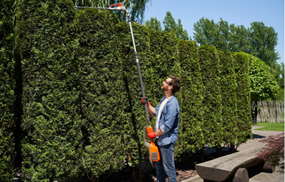 How Much Value Does Professional Tree Care Add To Your Northern Indiana Home?