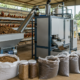 This Poultry Startup Targets Up to 600% ROI Uplift for Layer Farms
