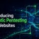 Reflectiz Launches Agentic Pentesting for Websites