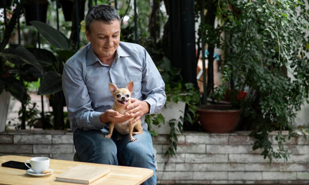 The Founder Who Takes No Salary: How Linh Hoang Is Using Technology to Transform French Bulldog Rescue