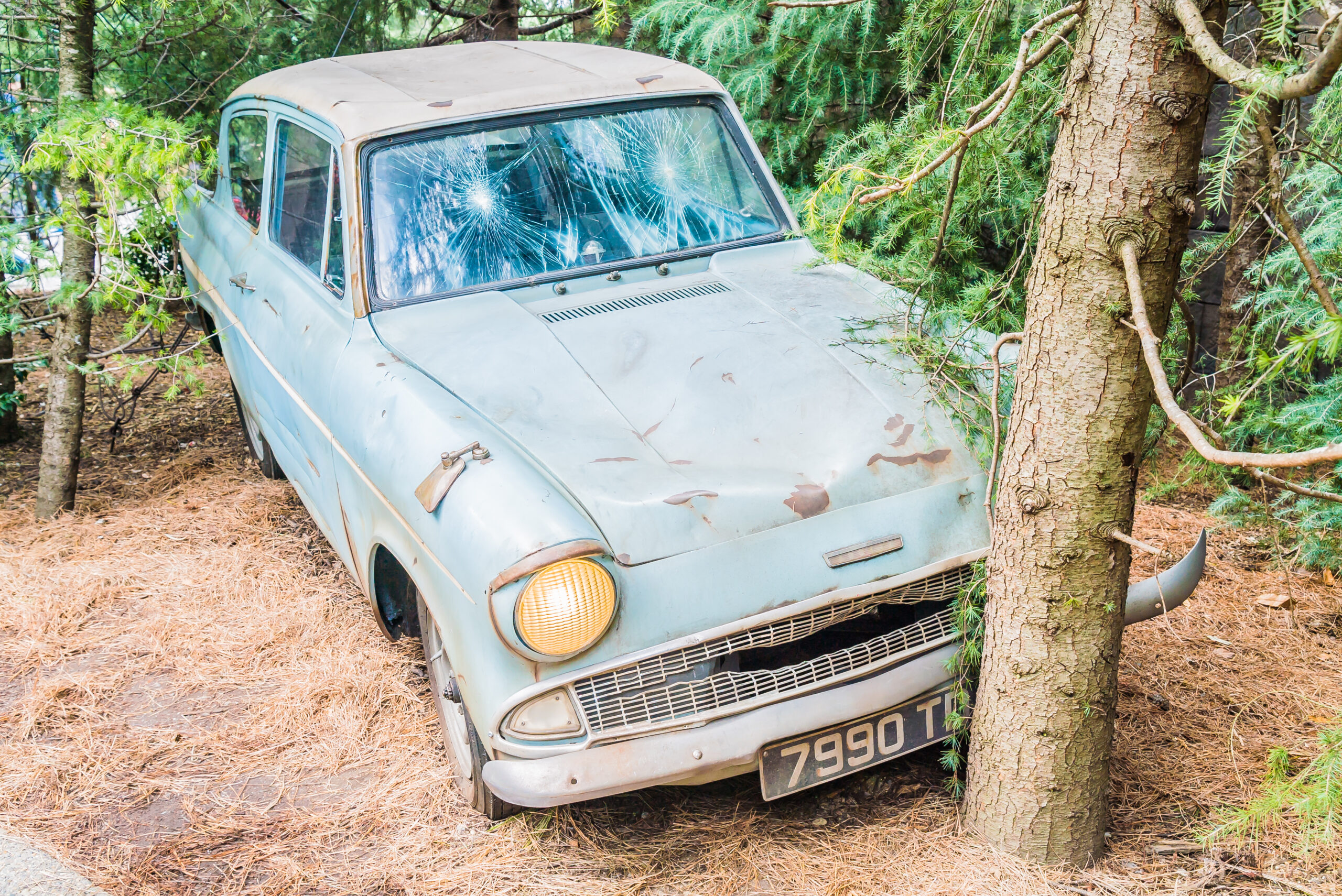 Unwanted Car