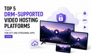 Video Hosting Platforms