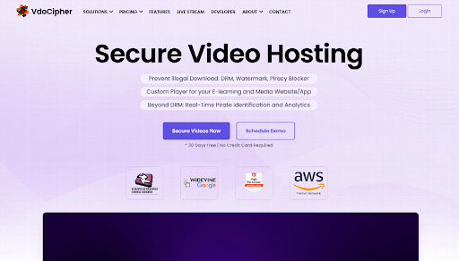 Video Hosting Platforms