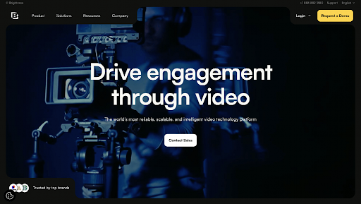 Video Hosting Platforms