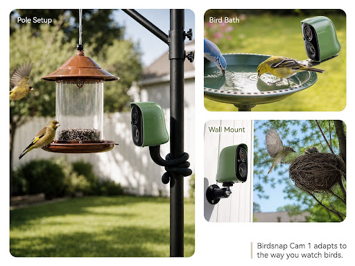Birdsnap Cam 1 Puts a Close-Focus Camera