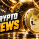 DOGE OCT (16)