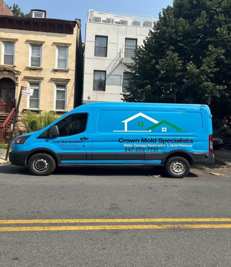 Crown Mold Specialists provides mold inspection, professional remediation and water damage restoration for homes and businesses across New York City.
