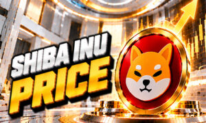 SHIBA OCT (20)