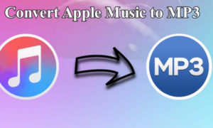 apple music to mp3 conversion