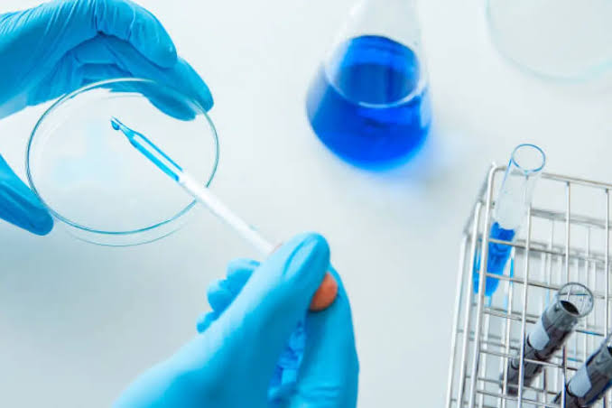 Vitro vs In Vivo Pharmacokinetic Studies Methods Applications